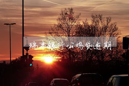 瑞丰银行公鸡贷逾期