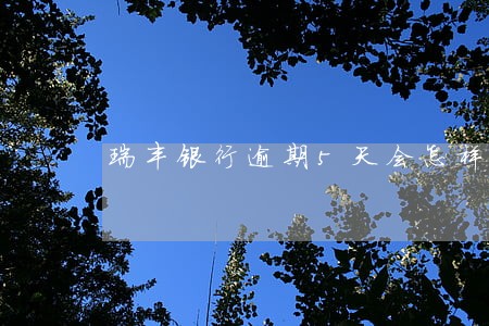 瑞丰银行逾期5天会怎样