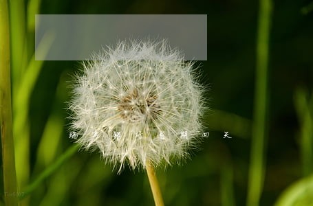瑞丰银行逾期四天 瑞丰银行逾期四天