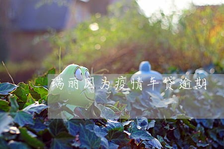 瑞丽因为疫情车贷逾期 瑞丽因为疫情车贷逾期