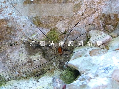 瑞丽法律顾问招聘 瑞丽法律顾问招聘