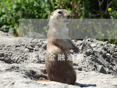 瑞丽金融逾期 瑞丽金融逾期