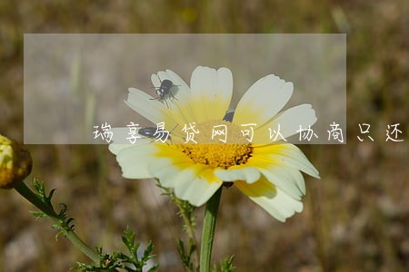 瑞享易贷网可以协商只还本金吗