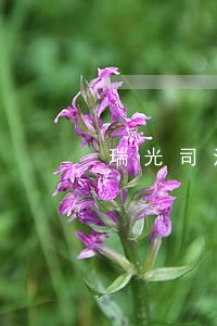 瑞光司法鉴定机构 瑞光司法鉴定机构