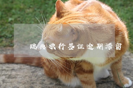 瑞典旅行签证逾期滞留 瑞典旅行签证逾期滞留