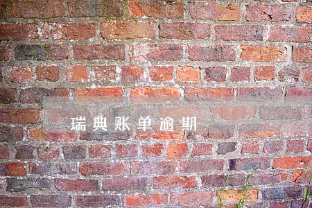 瑞典账单逾期 瑞典账单逾期