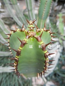 瑞利随薪贷逾期两天 瑞利随薪贷逾期两天