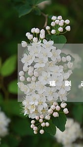 瑞刷逾期了如何还款 瑞刷逾期了如何还款