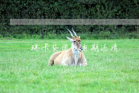 瑞卡贷借款逾期还清