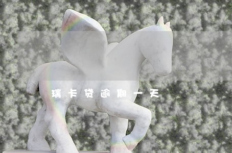 瑞卡贷逾期一天