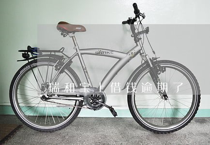 瑞和宝上借钱逾期了 瑞和宝上借钱逾期了