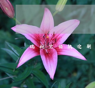 瑞和宝借款逾期费用 瑞和宝借款逾期费用