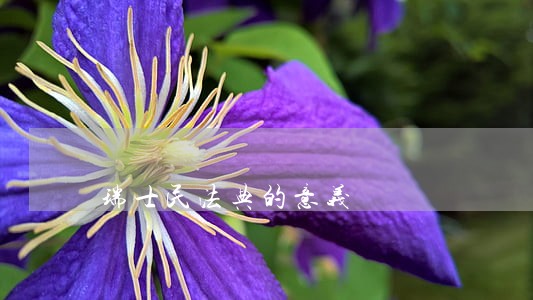 瑞士民法典的意义 瑞士民法典的意义