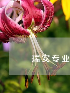 瑞安专业劳动律师 瑞安专业劳动律师