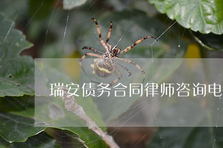 瑞安债务合同律师咨询电话