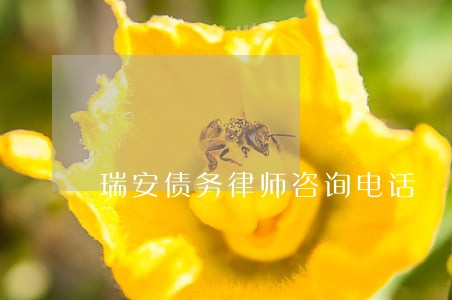 瑞安债务律师咨询电话 瑞安债务律师咨询电话