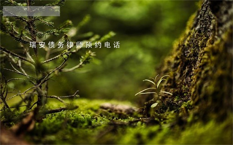 瑞安债务律师预约电话 瑞安债务律师预约电话