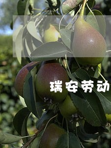 瑞安劳动律师价格请律师花多少钱 瑞安劳动律师价格请律师花多少钱