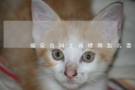 瑞安合同上诉律师怎么委托 瑞安合同上诉律师怎么委托