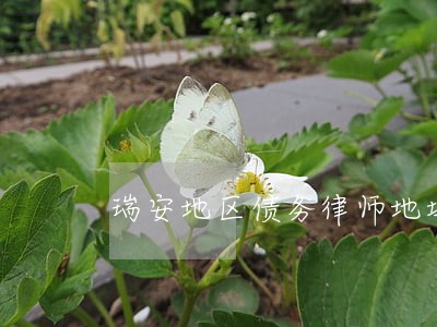 瑞安地区债务律师地址 瑞安地区债务律师地址