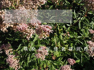 瑞安地区债务律师预约电话 瑞安地区债务律师预约电话