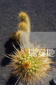 瑞安地区债务风险代理律师事务所 瑞安地区债务风险代理律师事务所