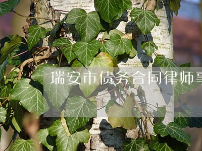 瑞安市债务合同律师事务所 瑞安市债务合同律师事务所