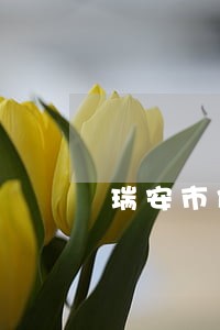 瑞安市债务合同律师地址 瑞安市债务合同律师地址