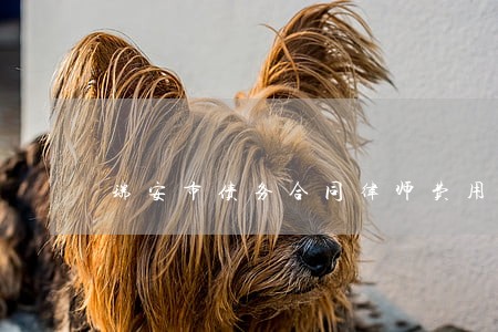 瑞安市债务合同律师费用标准 瑞安市债务合同律师费用标准
