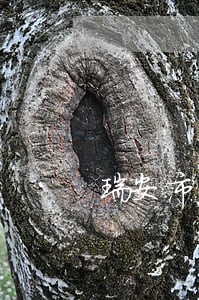 瑞安市债务律师地址 瑞安市债务律师地址