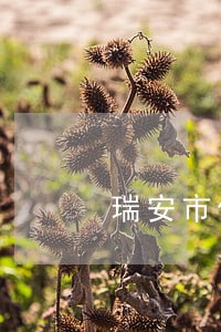 瑞安市债务执行律师费用 瑞安市债务执行律师费用