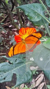 瑞安市债务执行律师预约电话 瑞安市债务执行律师预约电话