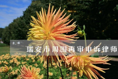 瑞安市周围再审申诉律师多少钱 瑞安市周围再审申诉律师多少钱