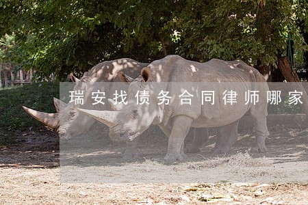 瑞安找债务合同律师哪家好 瑞安找债务合同律师哪家好