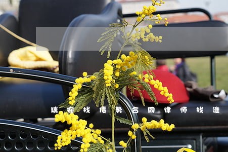 瑞安找债务合同律师找谁 瑞安找债务合同律师找谁