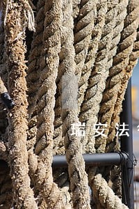瑞安法律援助在线咨询