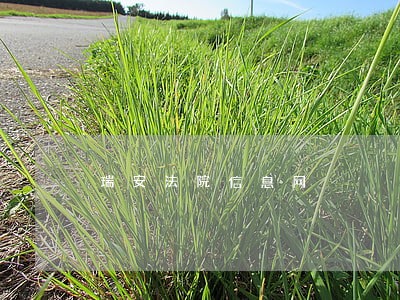 瑞安法院信息网 瑞安法院信息网