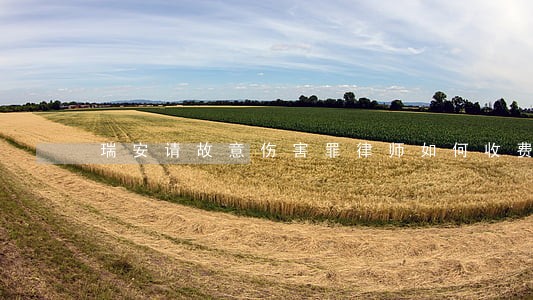 瑞安请故意伤害罪律师如何收费 瑞安请故意伤害罪律师如何收费