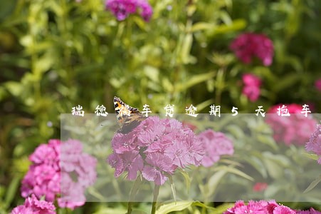 瑞德福车贷逾期5天拖车 瑞德福车贷逾期5天拖车