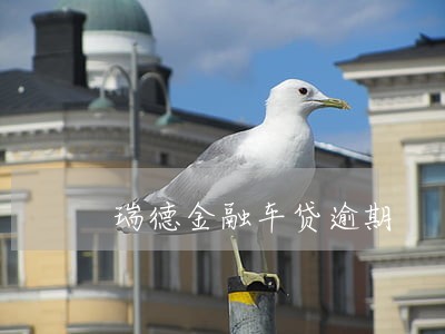 瑞德金融车贷逾期