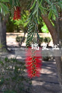 瑞星优品短信说贷款逾期 瑞星优品短信说贷款逾期