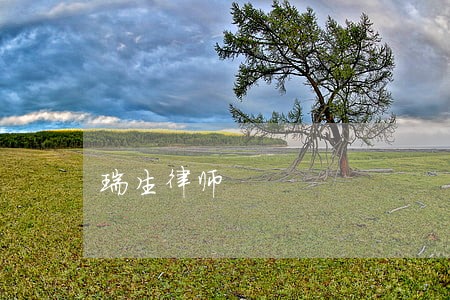 瑞生律师