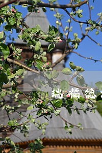 瑞福德汽车金融处理逾期记录 瑞福德汽车金融处理逾期记录