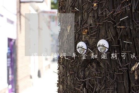 瑞福德汽车金融逾期可以免息吗 瑞福德汽车金融逾期可以免息吗