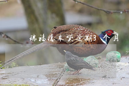 瑞福德车贷逾期3个月
