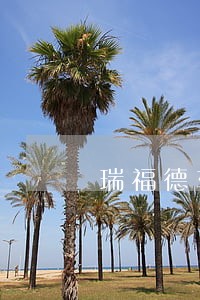 瑞福德车贷逾期gps远程锁车 瑞福德车贷逾期gps远程锁车