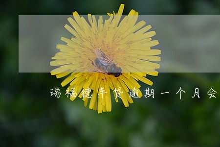 瑞福德车贷逾期一个月会家访 瑞福德车贷逾期一个月会家访