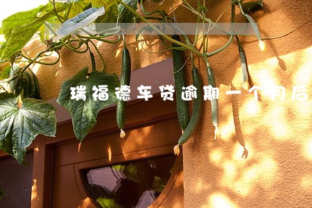 瑞福德车贷逾期一个月后果 瑞福德车贷逾期一个月后果