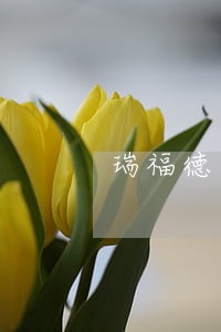 瑞福德车贷逾期了为什么不催了 瑞福德车贷逾期了为什么不催了