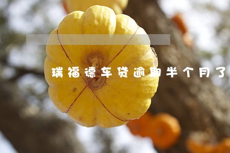 瑞福德车贷逾期半个月了 瑞福德车贷逾期半个月了